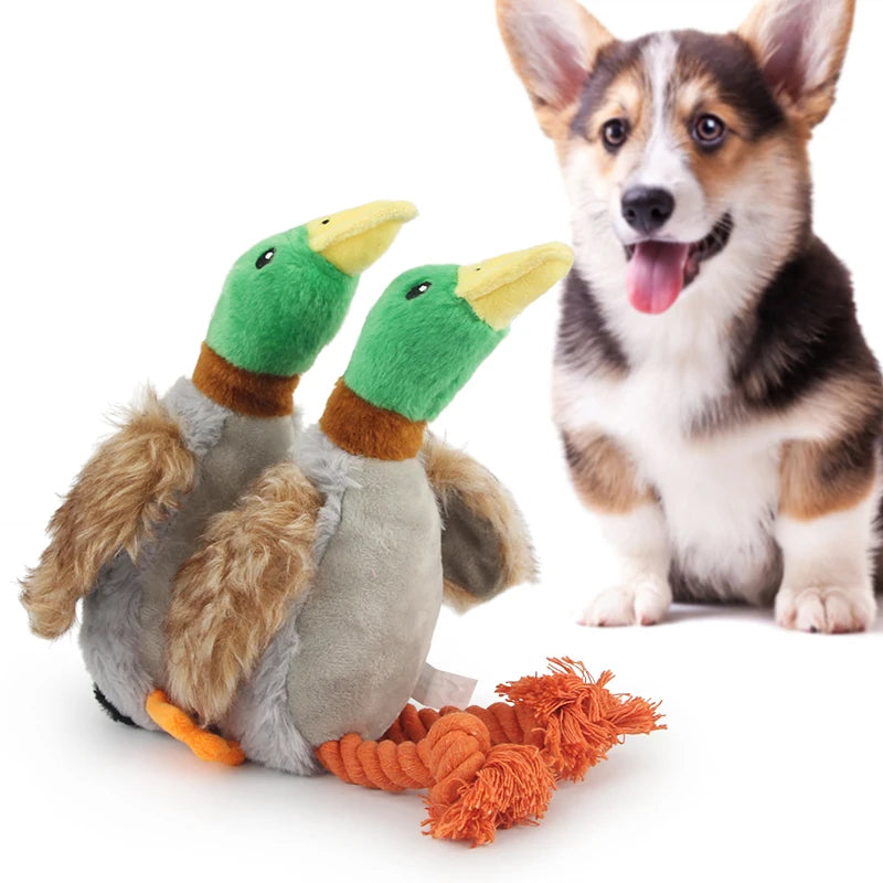 Plush Duck Dog Toy