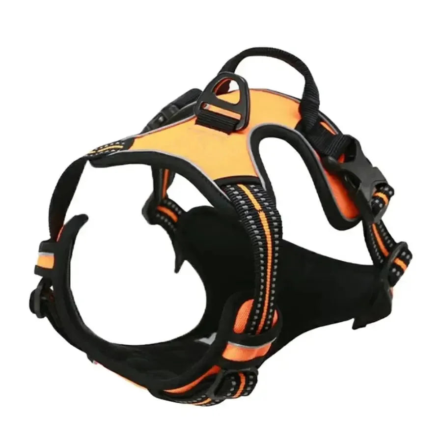 Dog Harness & Collar Set