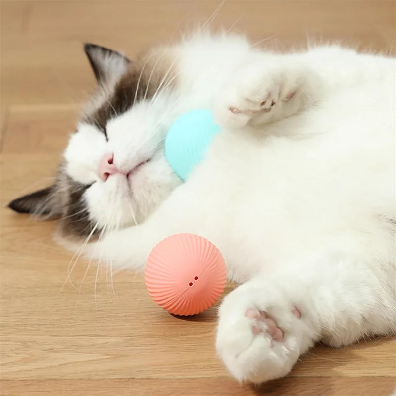 Automatic Interactive Cat Ball