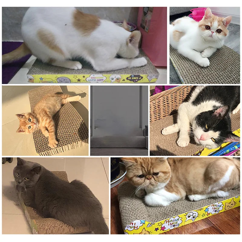 Cardboard Cat Scratcher