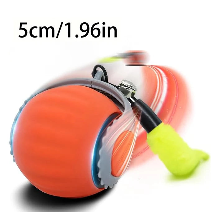 Automatic Interactive Cat Ball