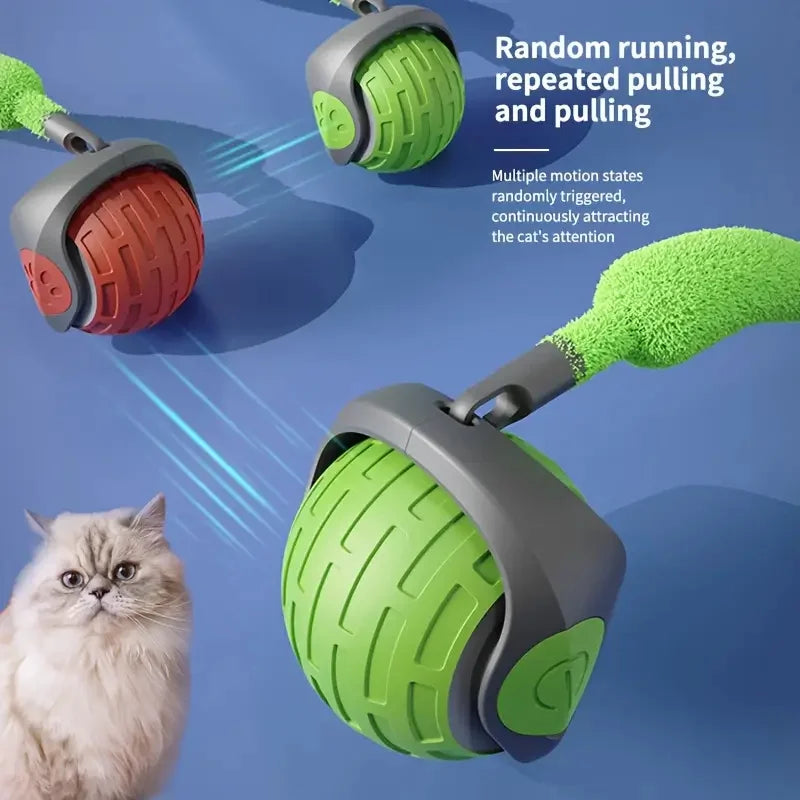 Automatic Interactive Cat Ball