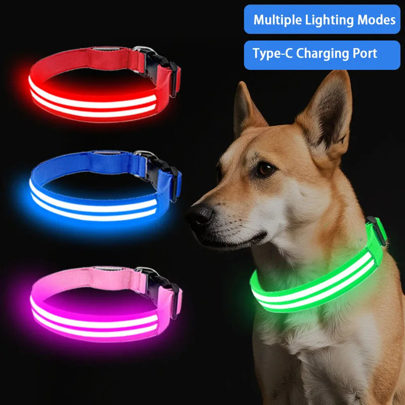 Rechargeable LED Dog Collar