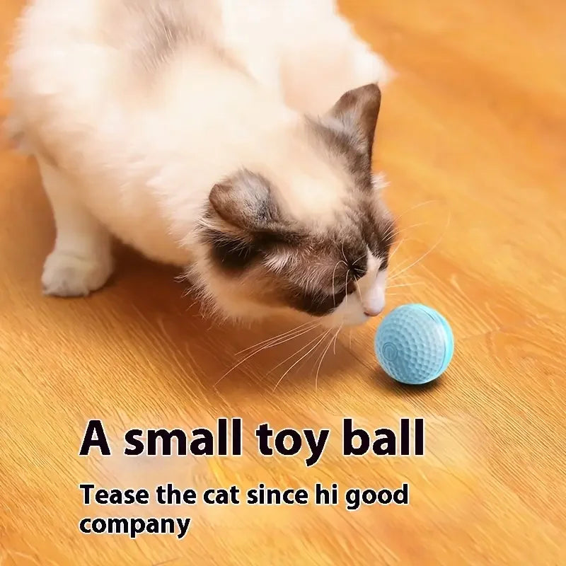 Automatic Interactive Cat Ball