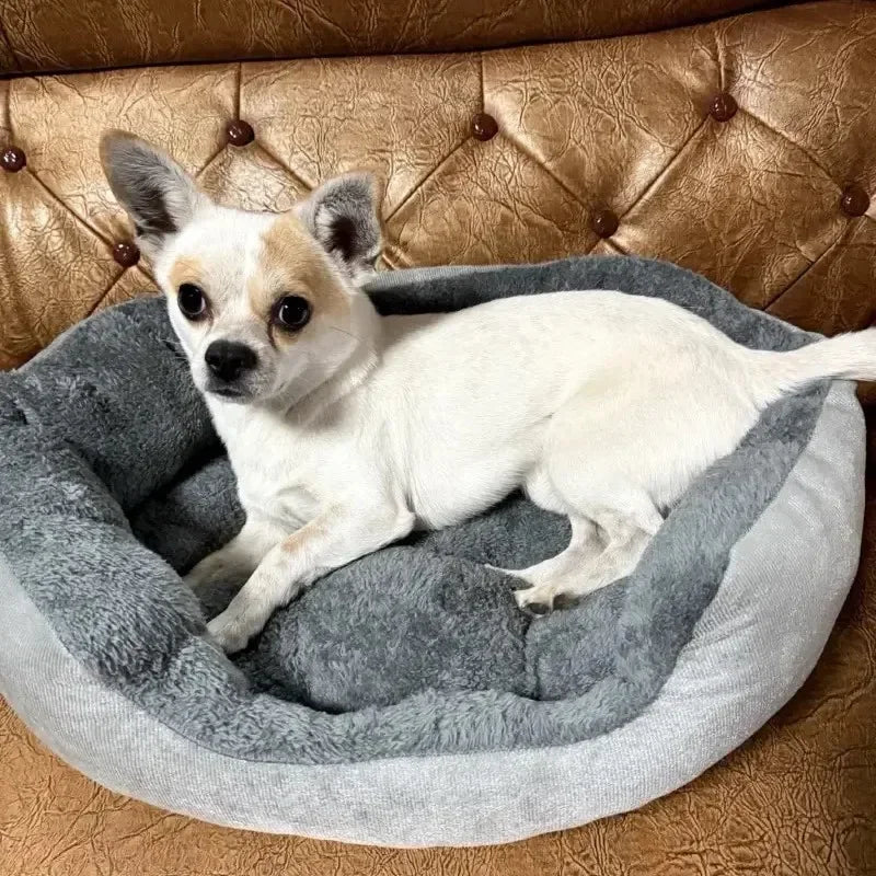 Soft Pet Sofa Bed