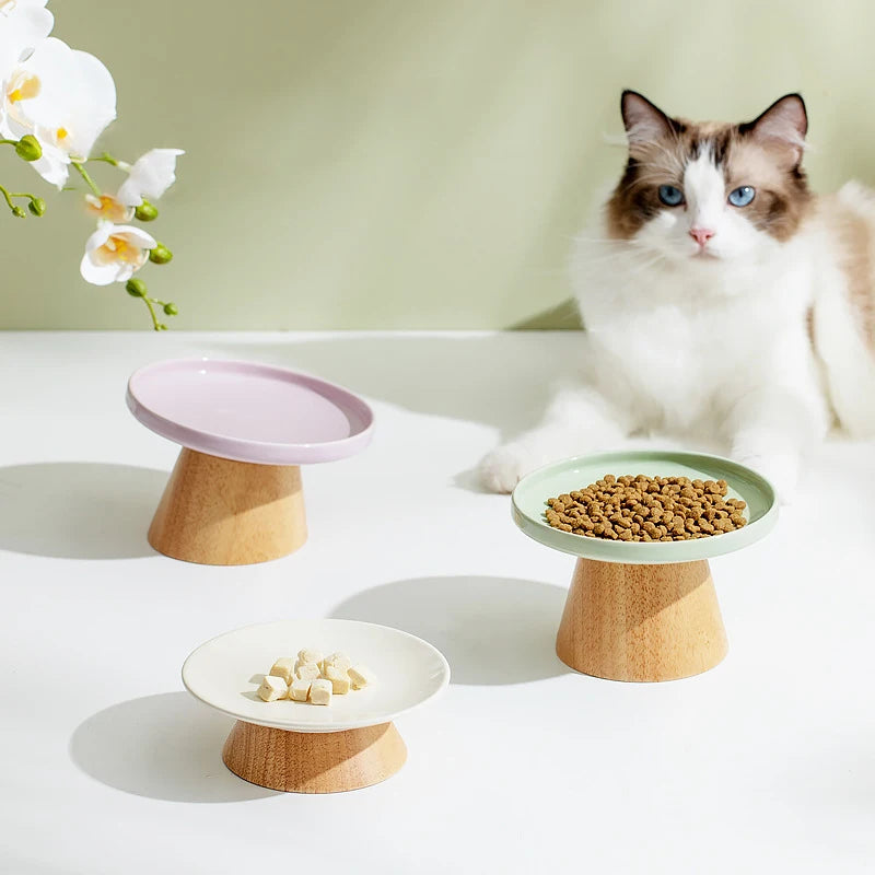 Elegant Glass Pet Bowl for Dogs & Cats