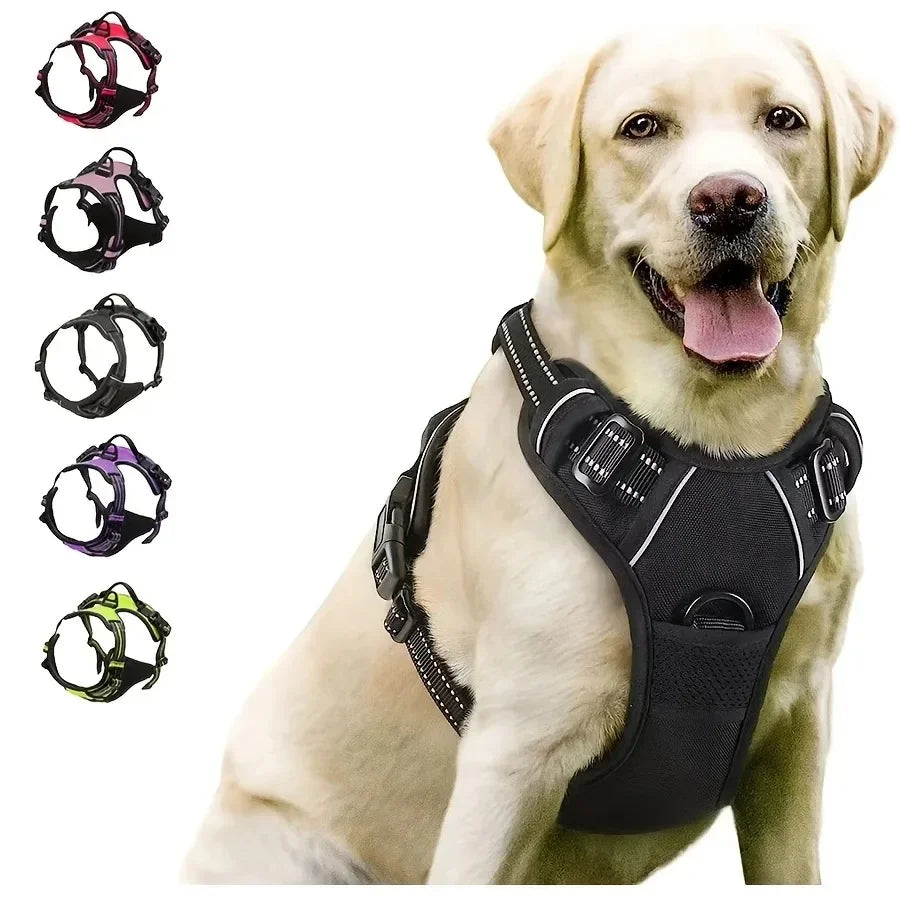 Dog Harness & Collar Set