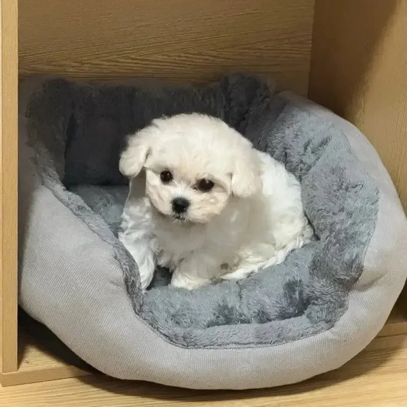 Soft Pet Sofa Bed