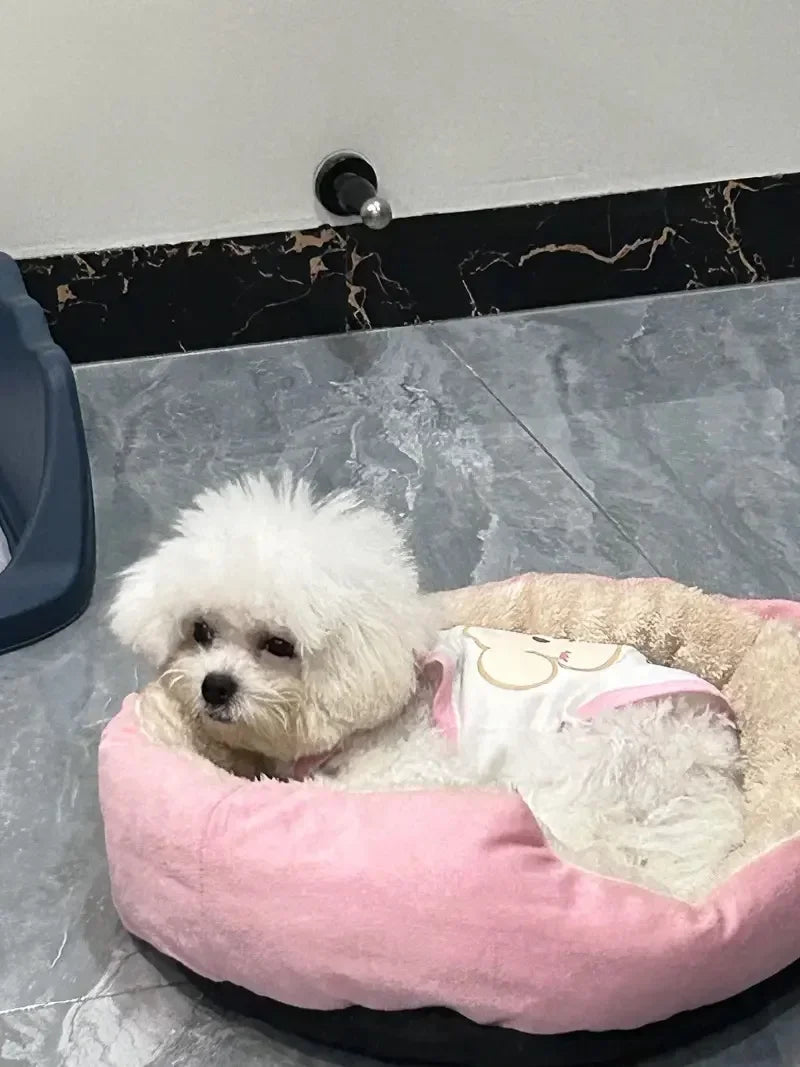 Soft Pet Sofa Bed