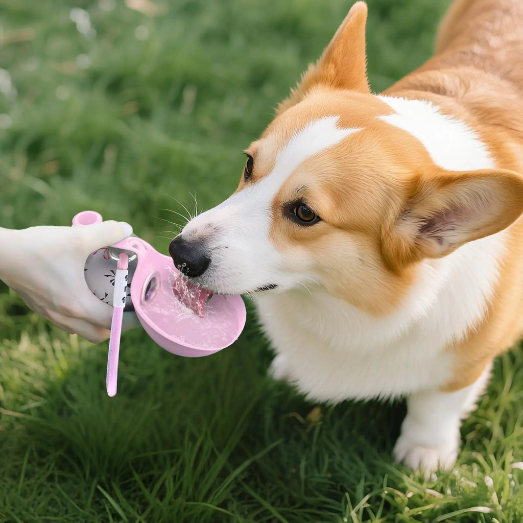 HydroGo 2-in-1 Portable Dog Water Bottle