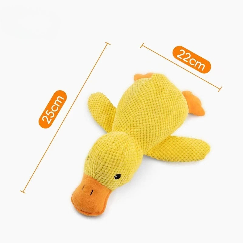 Durable Squeaky Pet Toy