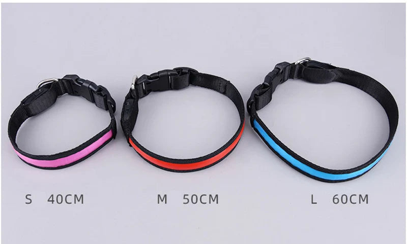 LED Dog Collar