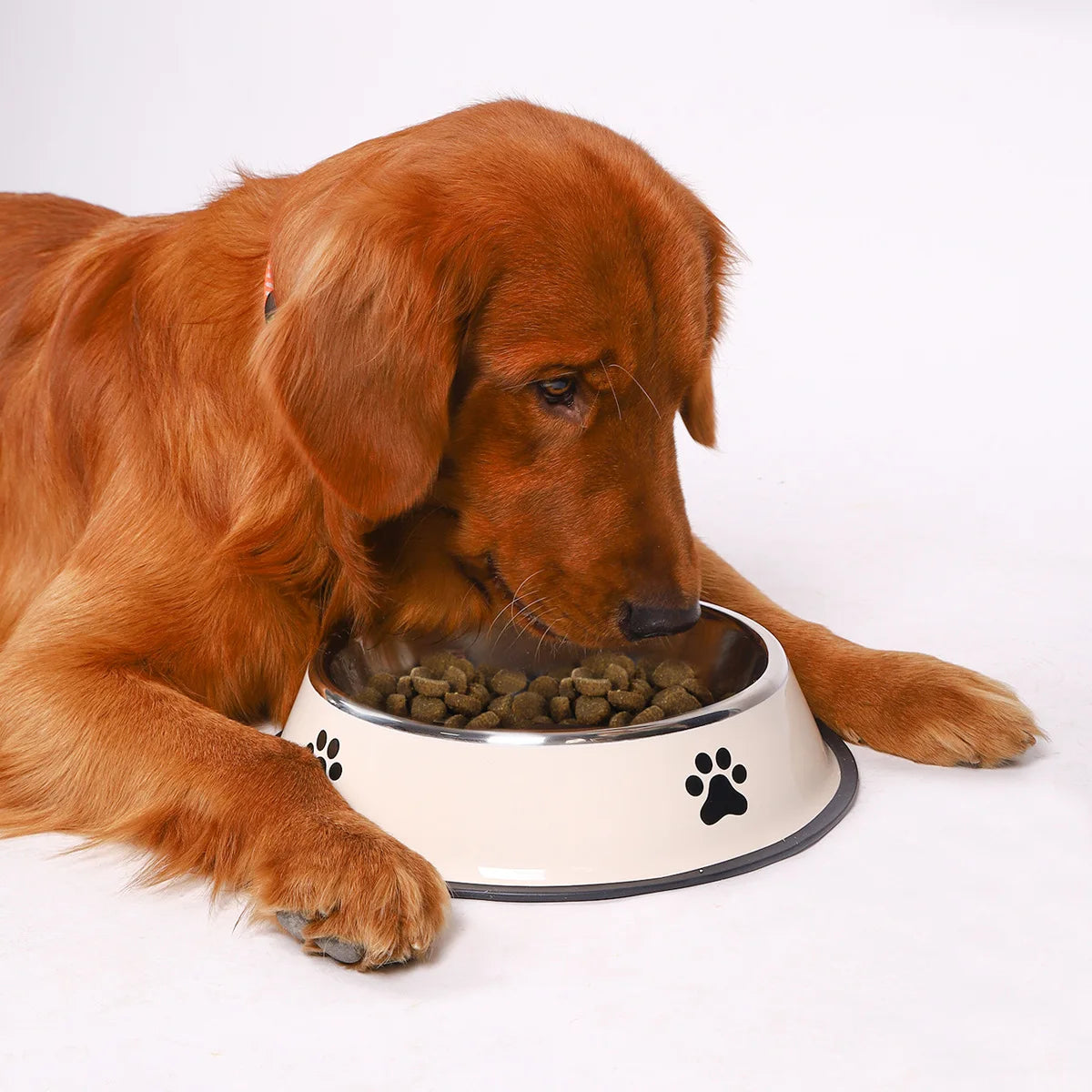 Large Stainless Steel Pet Bowl