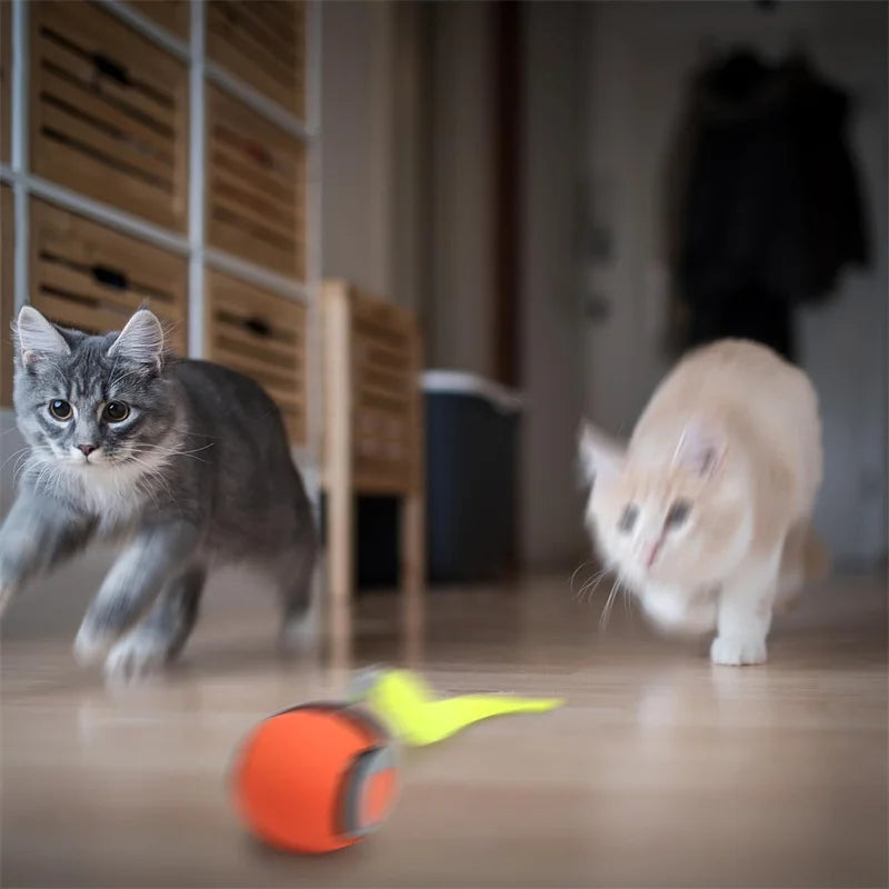 Automatic Interactive Cat Ball