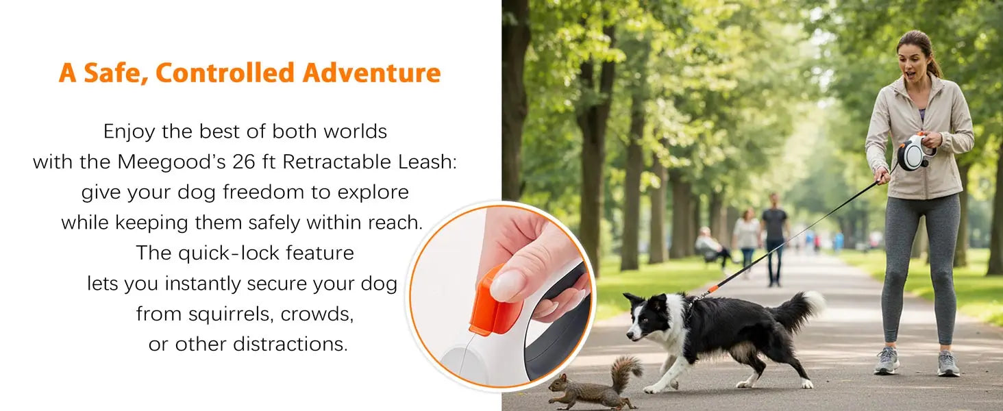 Heavy-Duty Retractable Dog Leash