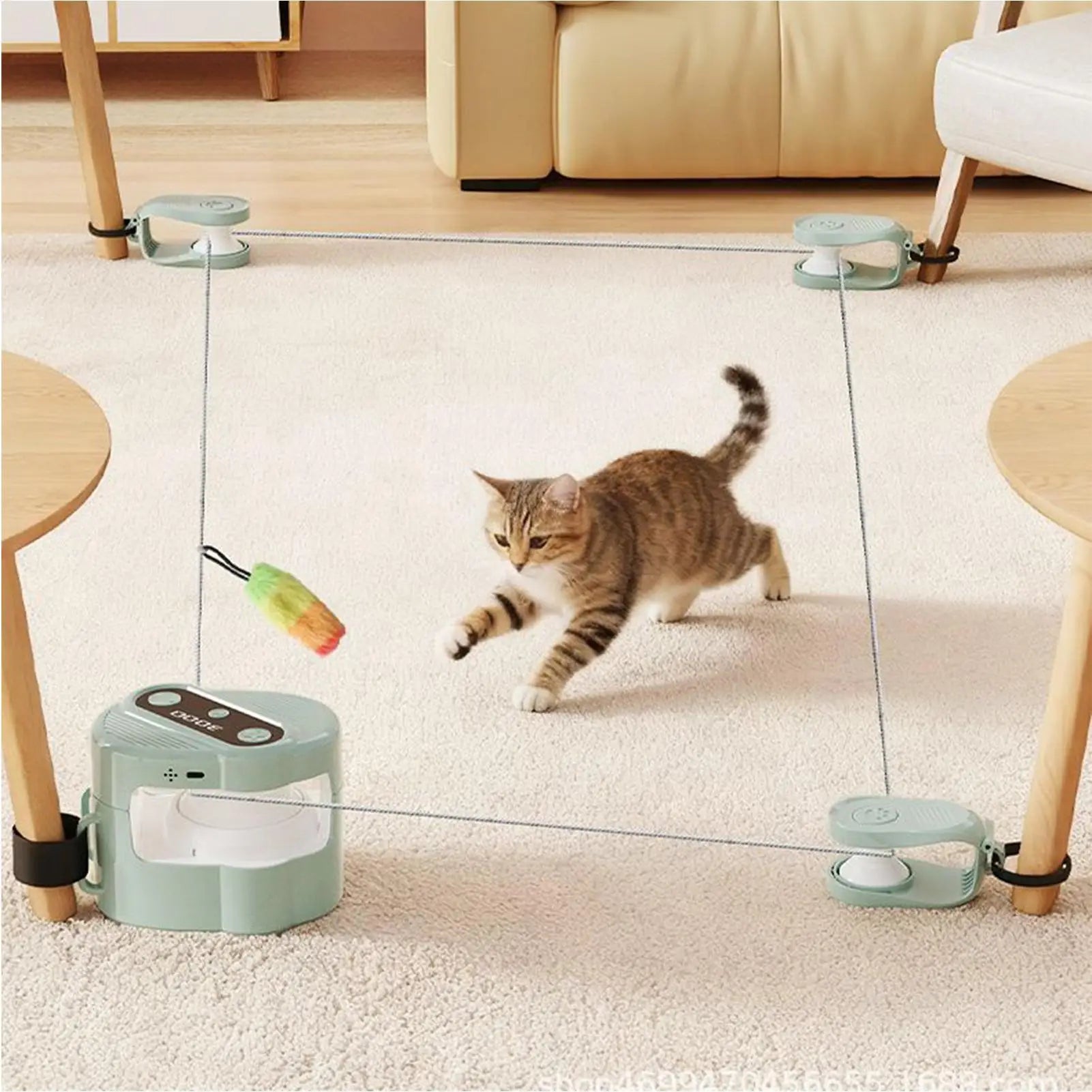 Interactive Cat Toys
