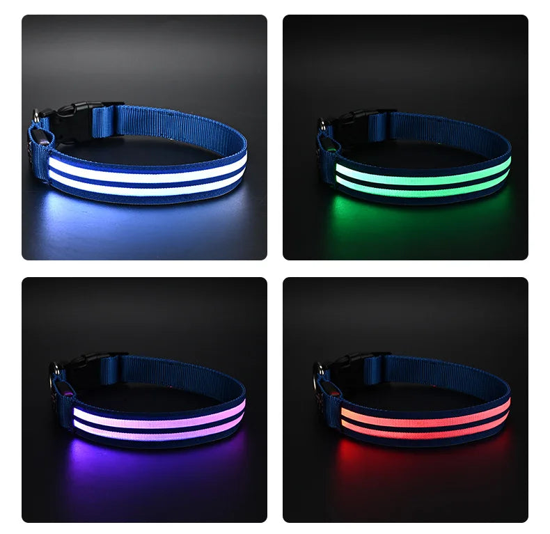 Rechargeable LED Dog Collar
