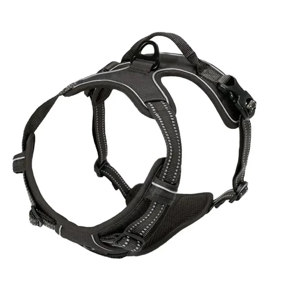 Dog Harness & Collar Set