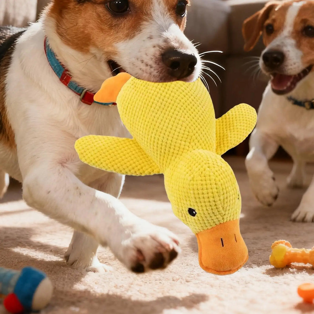 Yellow Duck Dog Toy