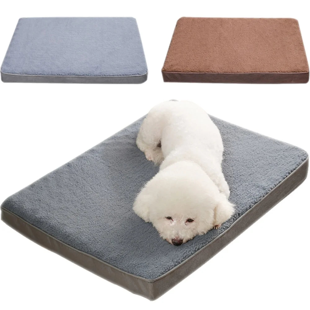 Dog Bed