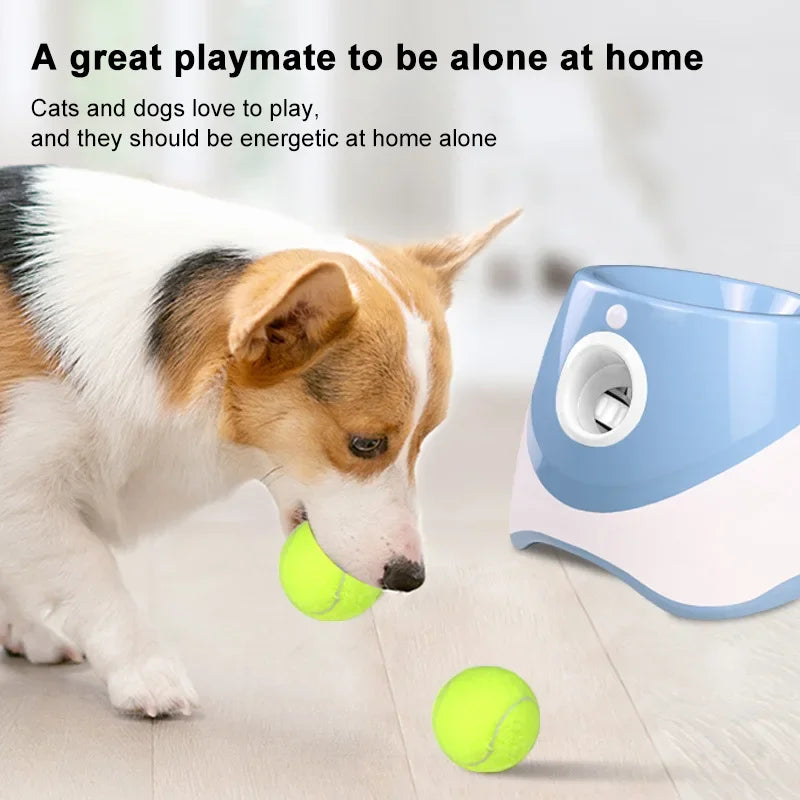 Automatic Tennis Ball Launcher