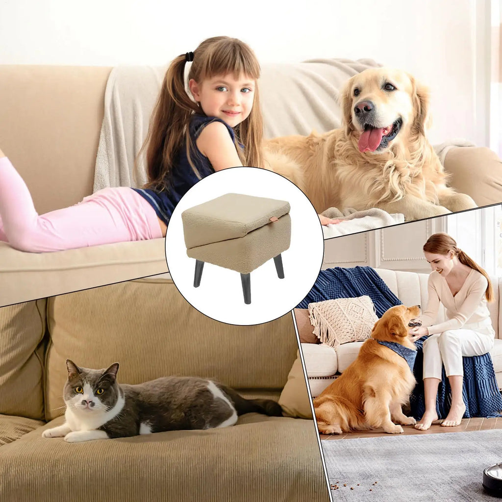 Foldable Dog Ramp Stool
