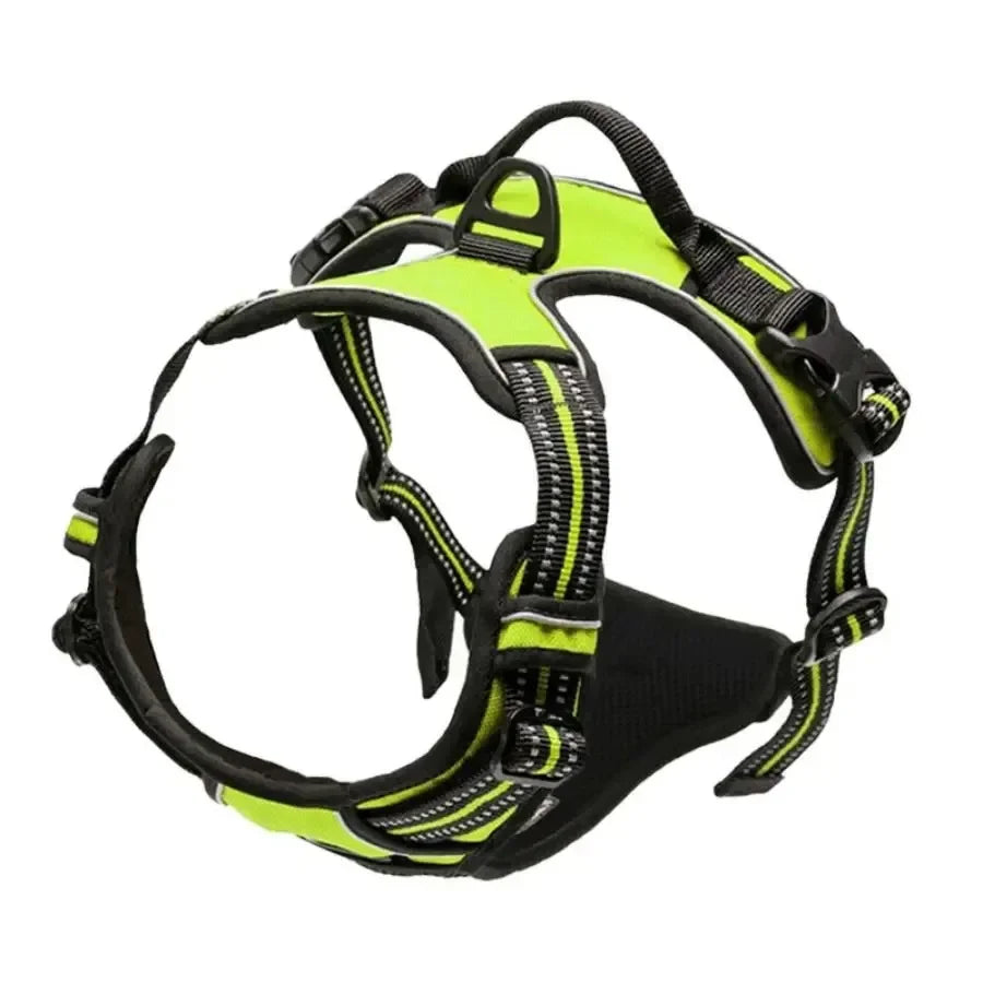 Dog Harness & Collar Set