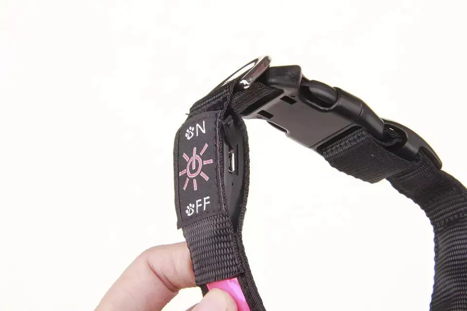 LED Dog Collar
