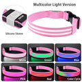 Rechargeable LED Dog Collar