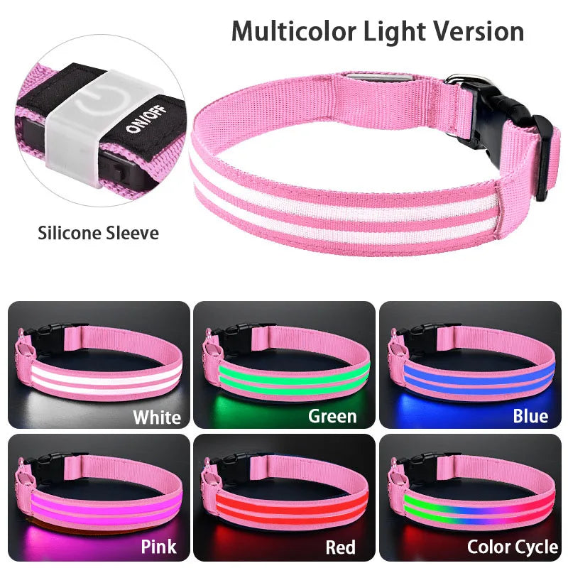 Rechargeable LED Dog Collar