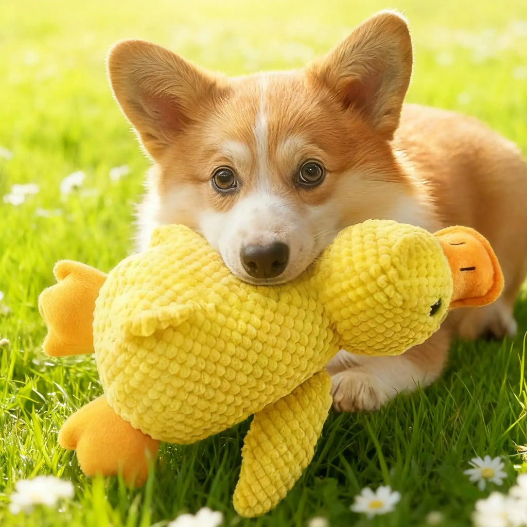 Yellow Duck Dog Toy