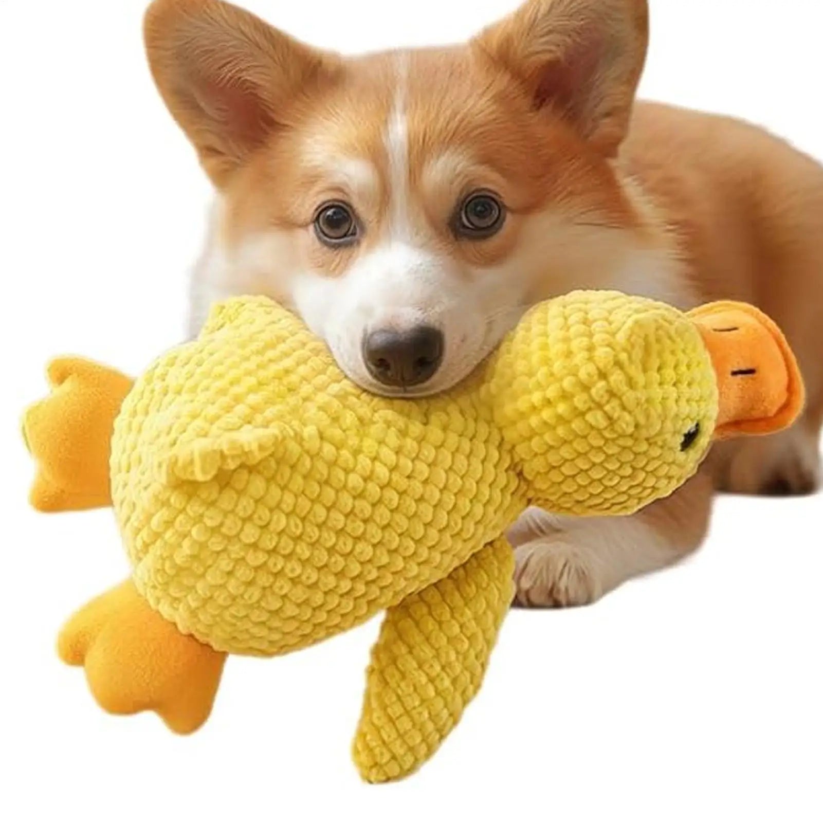 Yellow Duck Dog Toy
