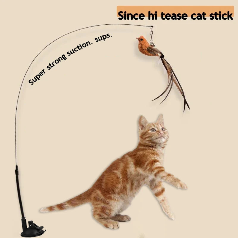 Feather Bird Cat Teaser