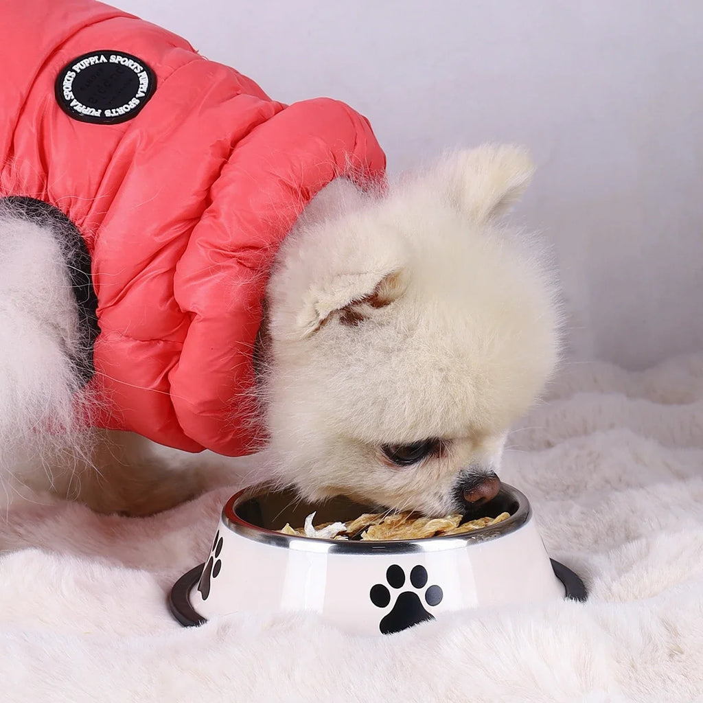 Stainless Steel Pet Food Bowl