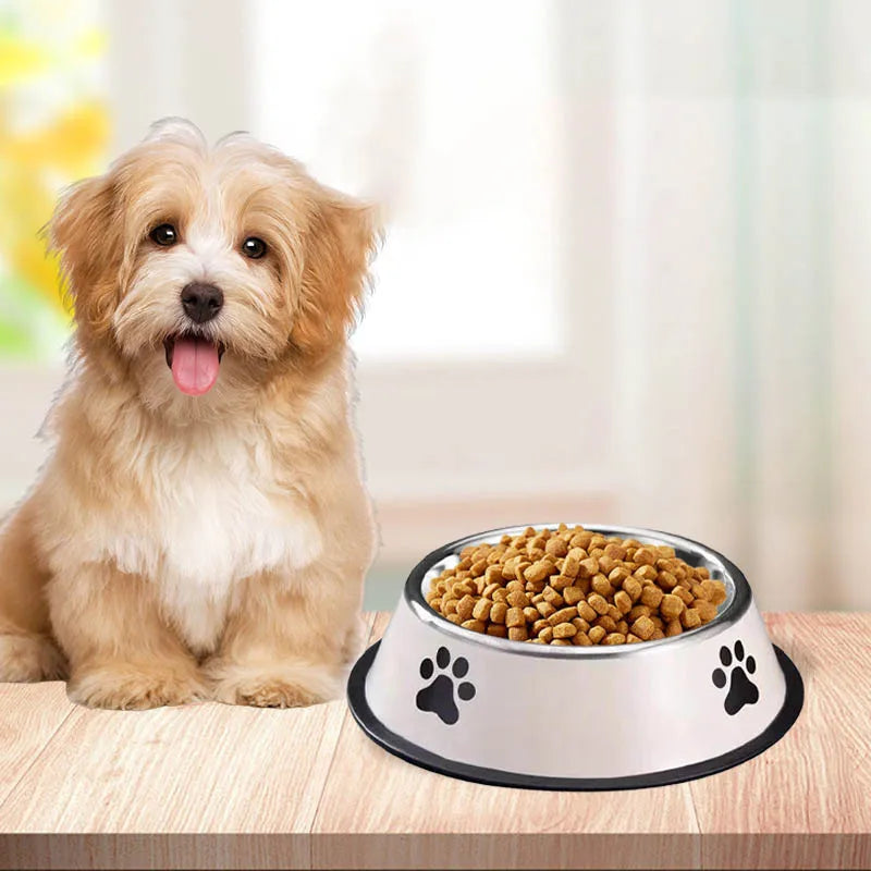 Large Stainless Steel Pet Bowl