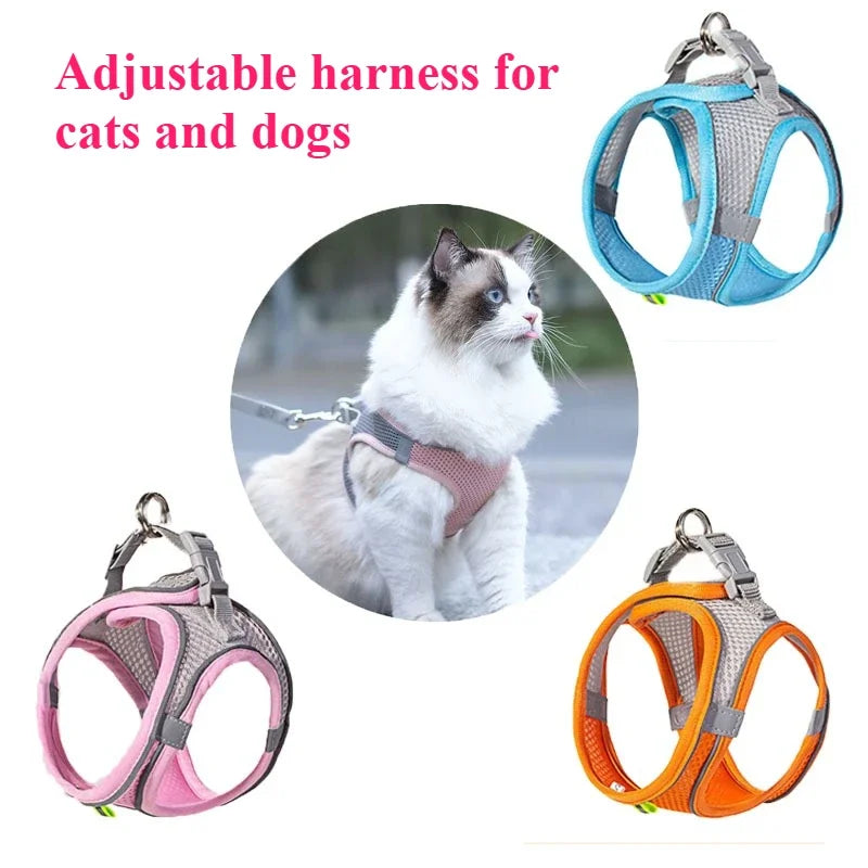 Durable Squeaky Pet Toy