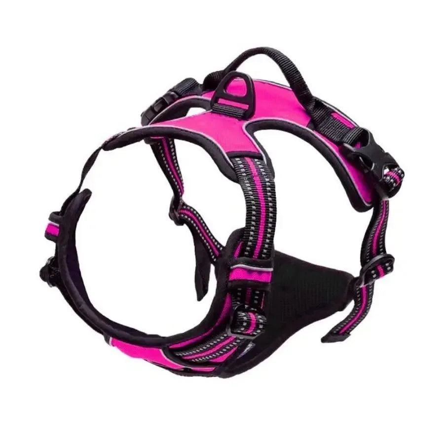 Dog Harness & Collar Set