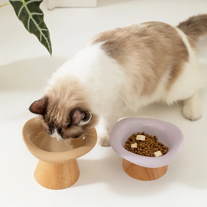 Elegant Ceramic Feeding Bowl for Small Dogs & Cats