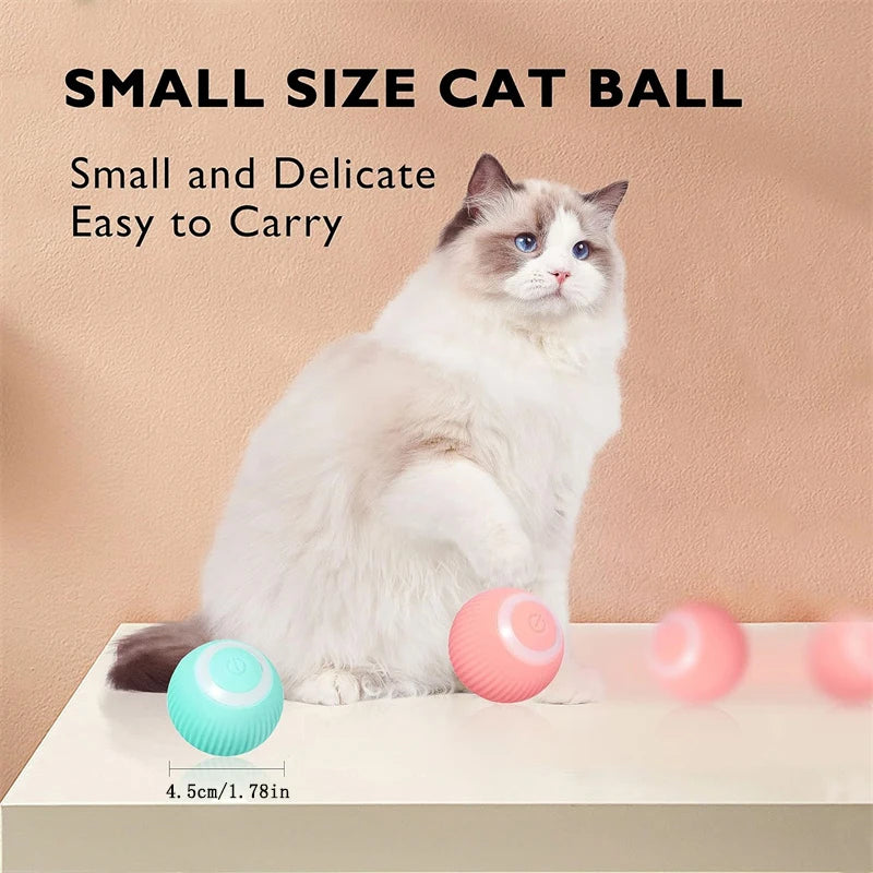 Automatic Interactive Cat Ball
