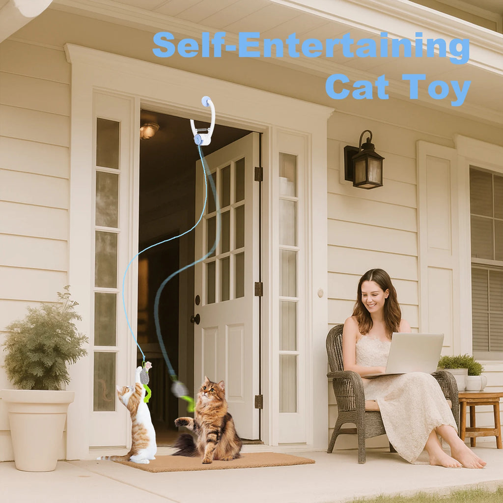 Cat Toys Electric Door Hanging