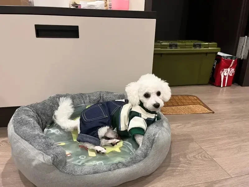Soft Pet Sofa Bed
