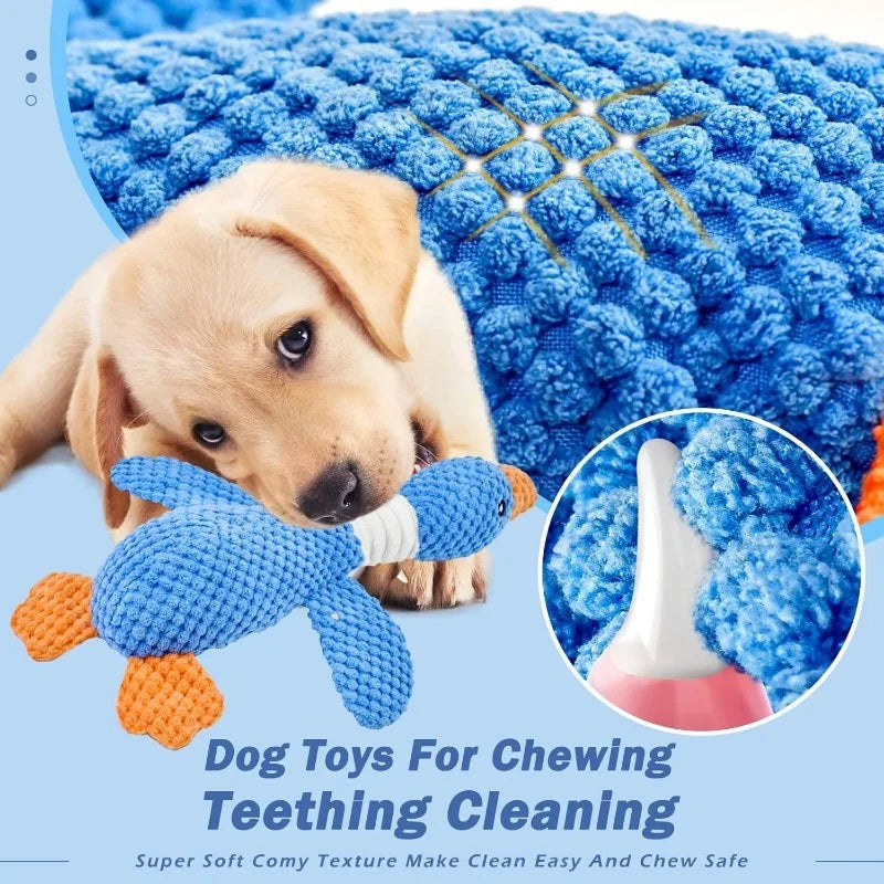 Durable Squeaky Pet Toy