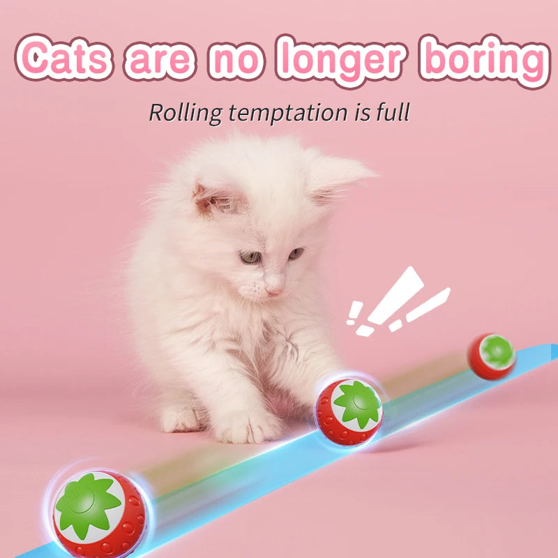Automatic Interactive Cat Ball