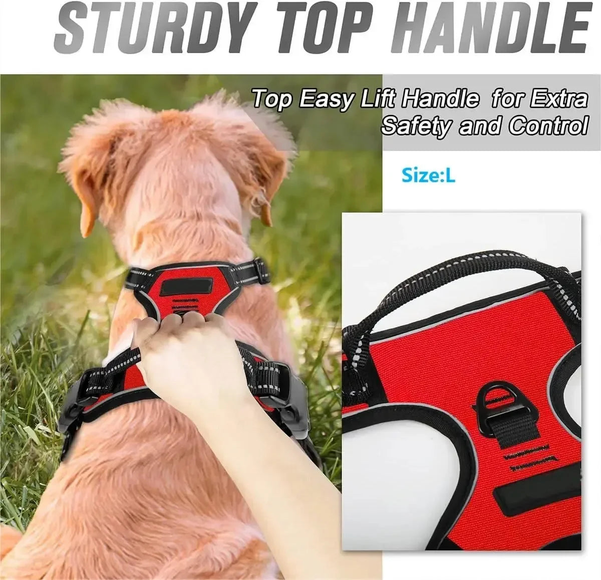 Dog Harness & Collar Set
