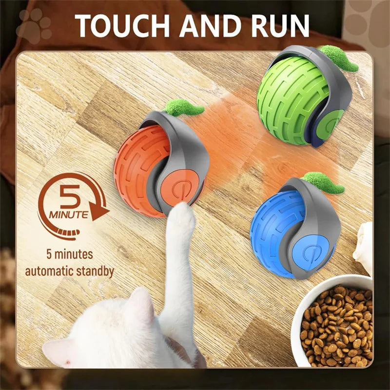 Automatic Interactive Cat Ball