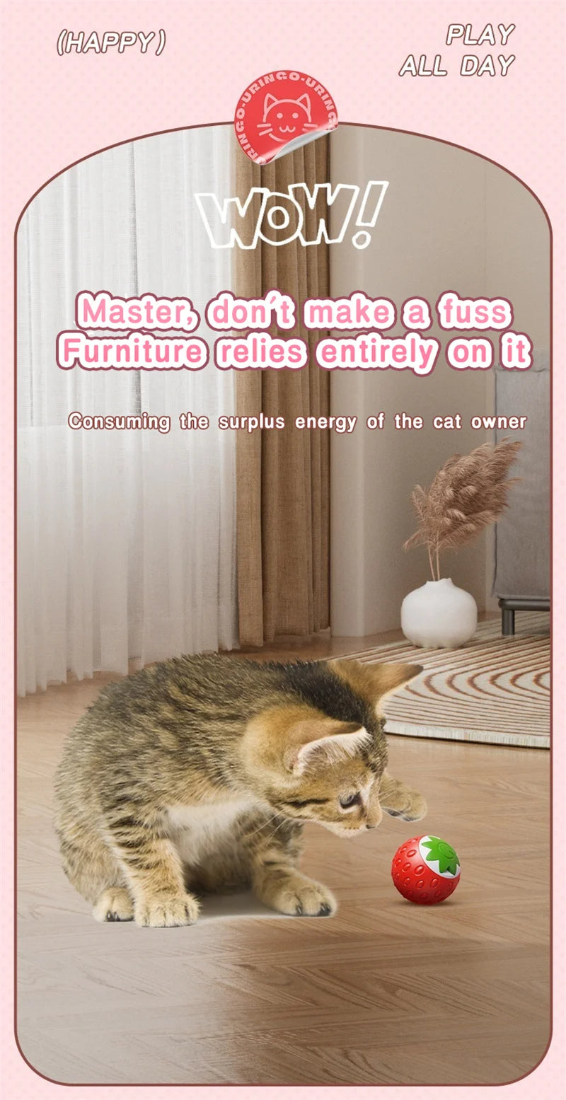Automatic Interactive Cat Ball