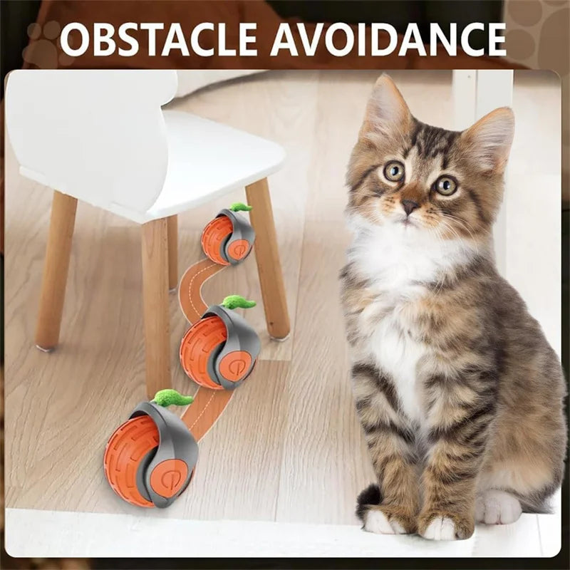 Automatic Interactive Cat Ball