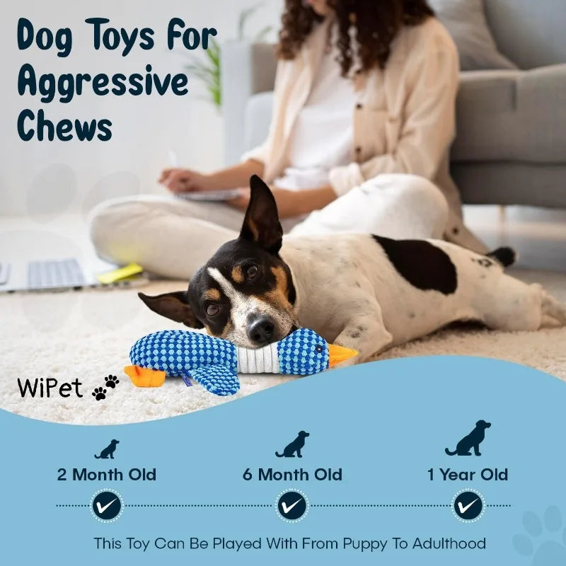 Durable Squeaky Pet Toy
