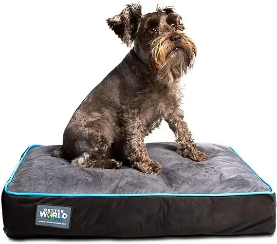 Waterproof Orthopedic Dog Bed Small