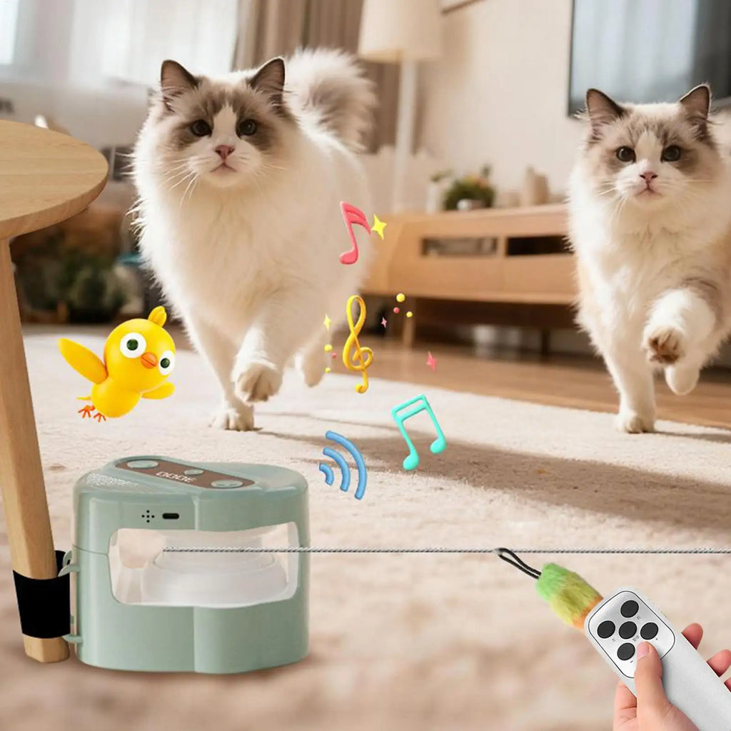 Interactive Cat Toys